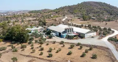 Warehouse 4 250 m² in Agia Varvara, Cyprus