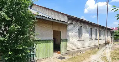 House in Malaryta, Belarus