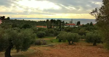 Terrain dans The Municipality of Sithonia, Grèce