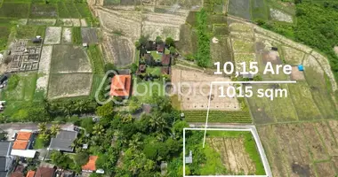 Plot of land in Canggu, Indonesia