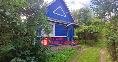 Dom w Hozski sielski Saviet, Białoruś