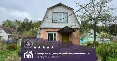 House in Ciurliouski sielski Saviet, Belarus