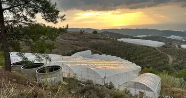 Terrain dans Yenidamlar, Turquie