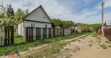Dom w Dziescanski sielski Saviet, Białoruś