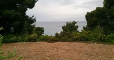 Plot of land in The Municipality of Sithonia, Greece