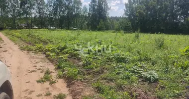 Terrain dans Bogorodsk, Fédération de Russie