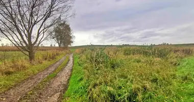 Дом в Краков, Польша