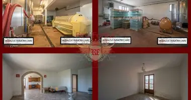 Commercial property 682 m² in Grosseto, Italy