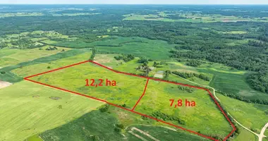 Plot of land in Petrosiskes, Lithuania