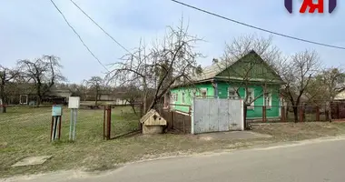 House in Starobin, Belarus