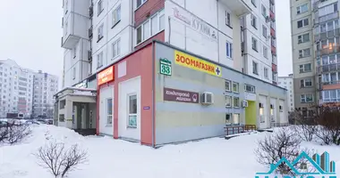 Propriété commerciale 372 m² dans Minsk, Biélorussie