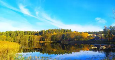 Квартира 3 комнаты в Литвенский сельский Совет, Беларусь