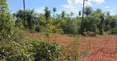 Terrain dans District de Carapegua, Paraguay