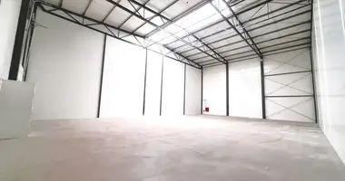 Nieruchomości komercyjne 520 m² w Macierzysz, Polska