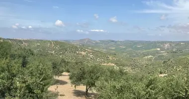 Parcela en District of Archane - Asterousia, Grecia