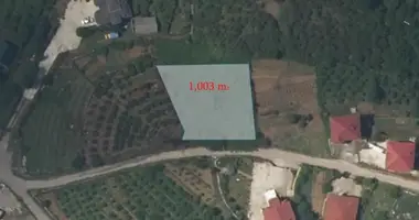 Plot of land in Village Ozurgeti, Georgia