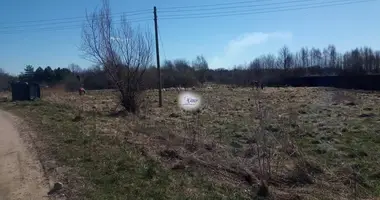 Plot of land in Polessky District, Russia