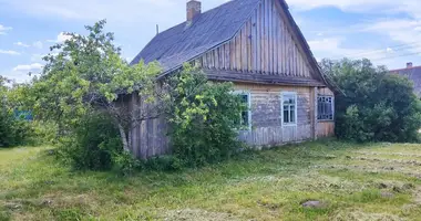 House in Naracki sielski Saviet, Belarus