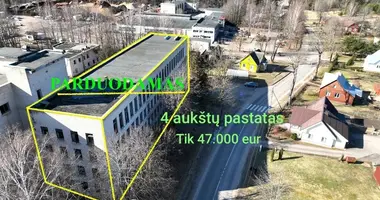 Commercial property 2 806 m² in Svencionys, Lithuania