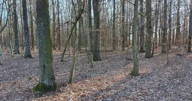 Grundstück in Szentgotthardi jaras, Ungarn