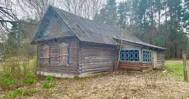 House in Hlivin, Belarus