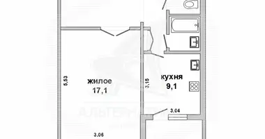 Apartamento 1 habitación en Chacislau, Bielorrusia