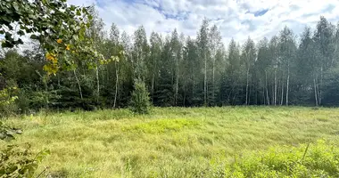 Działka w Dziescanski sielski Saviet, Białoruś