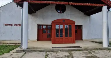 5 room house in Battonya, Hungary
