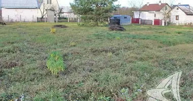 Plot of land in Matykalski sielski Saviet, Belarus