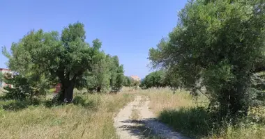 Grundstück in Polychrono, Griechenland