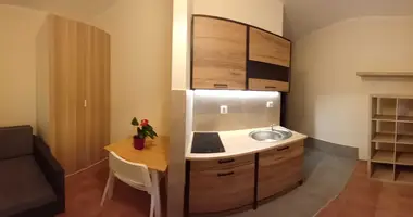 Wohnung 1 zimmer in Krakau, Polen