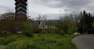 Plot of land in Tbilisi, Georgia