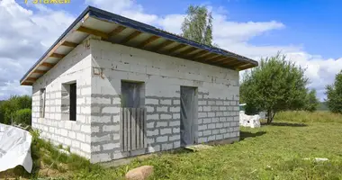 House in Akalova, Belarus