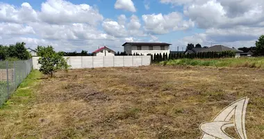 Plot of land in Carnaucycki sielski Saviet, Belarus