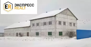 Nieruchomości komercyjne 500 m² w Kamieniec Litewski, Białoruś