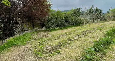 Plot of land in Gantiadi, Georgia