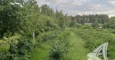 Grundstück in Znamienski siel ski Saviet, Weißrussland