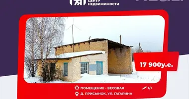 Производство 12 м² в Плисский сельский Совет, Беларусь