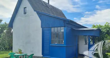 House in Skoki, Belarus