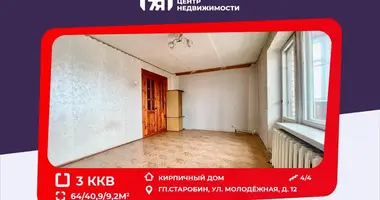 Appartement 3 chambres dans Starobin, Biélorussie