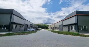 Gewerbefläche 525 m² in Alsonemedi, Ungarn