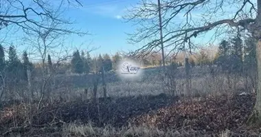Plot of land in Bagrationovsky District, Russia