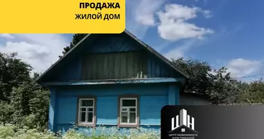 Haus in Babinicy, Weißrussland