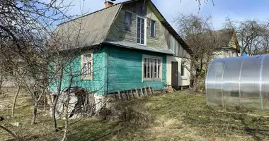 House in Zabalocki sielski Saviet, Belarus