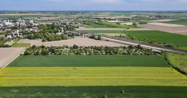 Działka w Buk, Polska