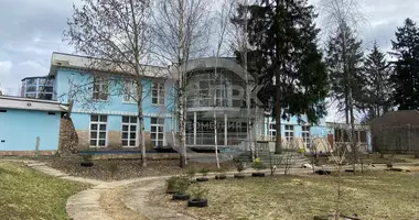 House in Odincovskiy gorodskoy okrug, Russia