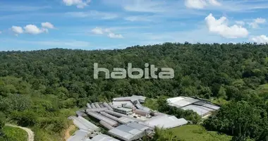 Manufacture 4 340 000 m² in Gaspar Hernandez, Dominican Republic