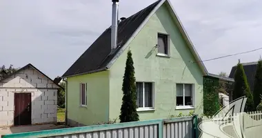 House in Skoki, Belarus