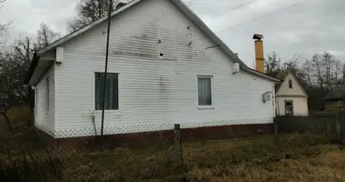 House in Maculina, Belarus