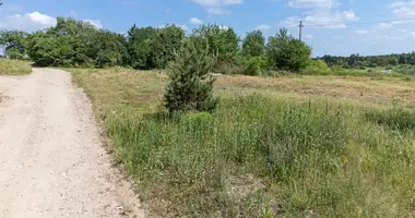 Terrain dans Karveliskes, Lituanie